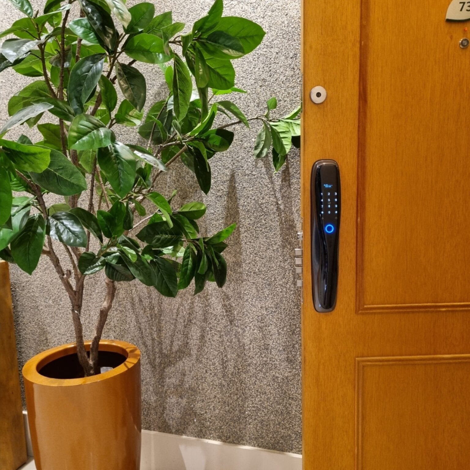 WhatsApp Image 2025-06-12 at 16.10.30